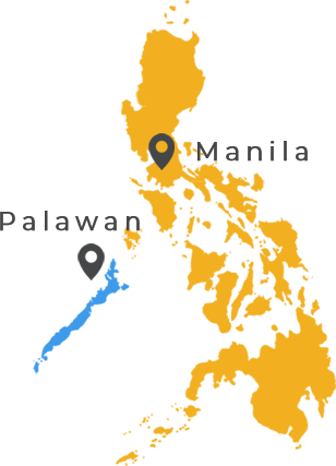 Carte des Philippines Manille - Palawan