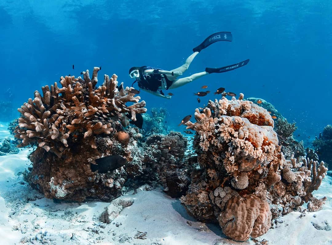 philippines-diving-vanessa-vergara-tabatha-reef