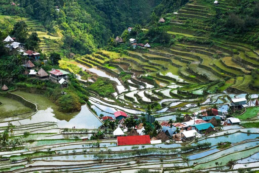 Village houses near rice terraces fields. Amazing abstract texture with sky colorful reflection in water. Ifugao province. Banaue, Philippines UNESCO heritage