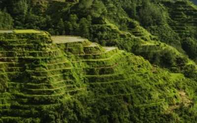 Rice terraces in villages in the Philippines