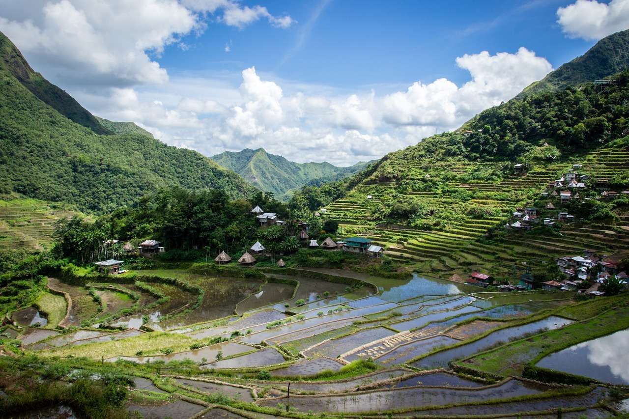 rice terrace, rice fields, banaue, Luzon, Luzon, rice terraces philippines